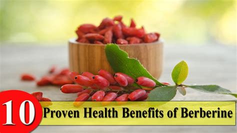 is berberine good for you.